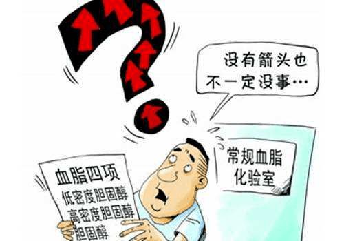 血脂知多少 营养健康咨询全解析